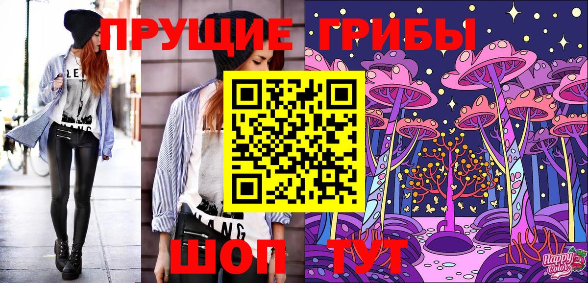 Псилоцибиновые грибы GOLDEN TEACHER Петрозаводск