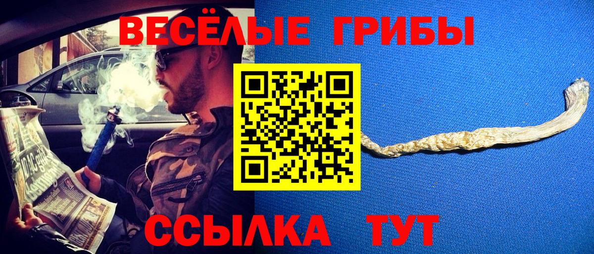 Петрозаводск  Псилоцибиновые грибы Cubensis  Галлюциногенные грибы GOLDEN TEACHER  Вход с VPN 