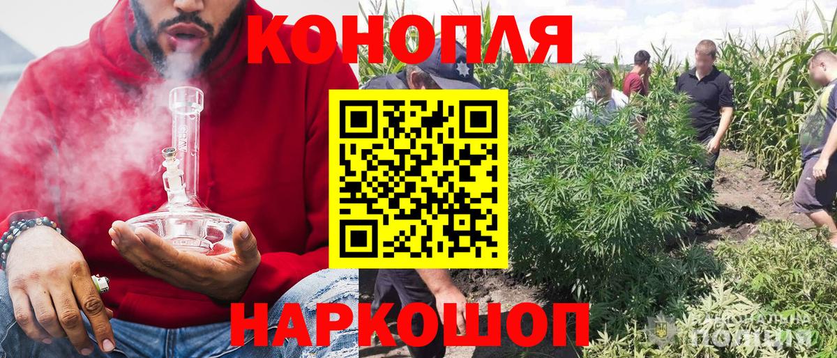 Бошки Шишки сатива Петрозаводск